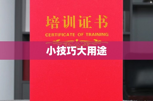 西安小技巧大用途