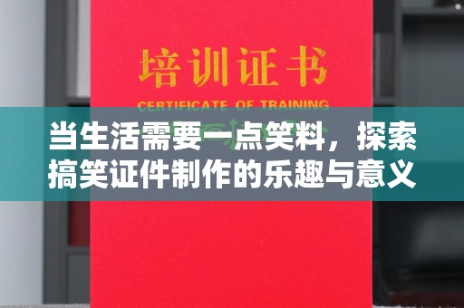 西安当生活需要一点笑料，探索搞笑证件制作的乐趣与意义